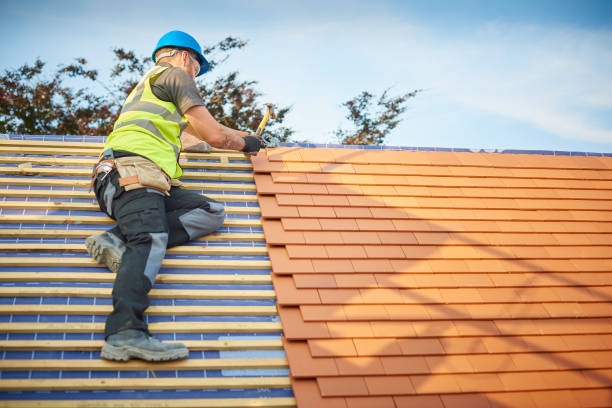 Best Roof Maintenance and Cleaning  in Hanapepe, HI